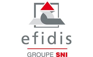Logo Efidis